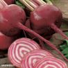 Chioggia Beetroot Seeds