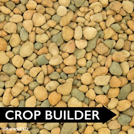 Crop Builder Onion & Garlic Fertiliser