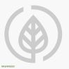Green Manure Red Clover