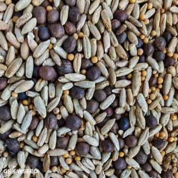 Cover Crop Green Mix