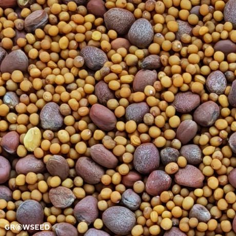 Cover Crop PreSpud Mix