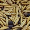 Cover Crop Super Mix