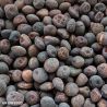 Green Manure Winter Tares