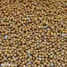 Green Manure Mustard White