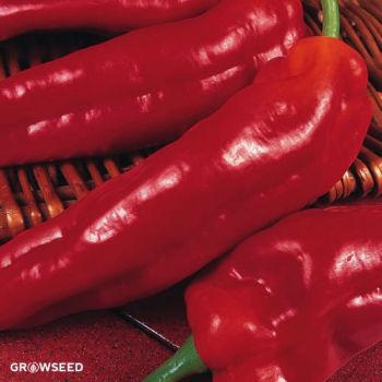 Long Red Marconi Sweet Pepper Seeds