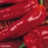 Long Red Marconi Sweet Pepper Seeds