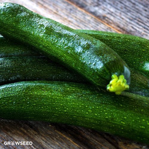 Zucchini Cauliflower Seeds