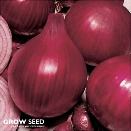 Red Baron seeds
