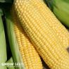 Lark F1 Sweetcorn Seeds