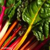 Chard Bright Lights seeds