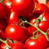 Gardener's Delight Tomato Seeds