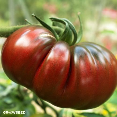 Black Russian Tomato Seeds