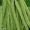 Hunter French Bean Seeds