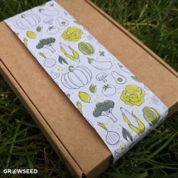 Vegetable Seeds Gift Set