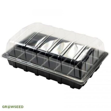 Propagator Set