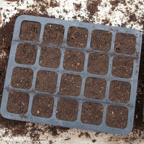 20 Cell Natural Rubber Seed Tray