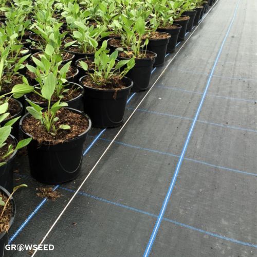 Premium Weed Membrane for a Weed-Free Garden