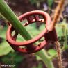 Tomato Trellis Clips