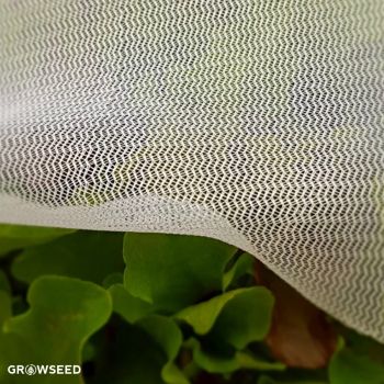 Insect Netting