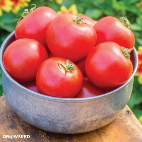 Crimson Crush F1 Tomato Seeds