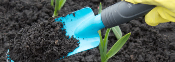 Your Guide To Building Up Amazing Soil