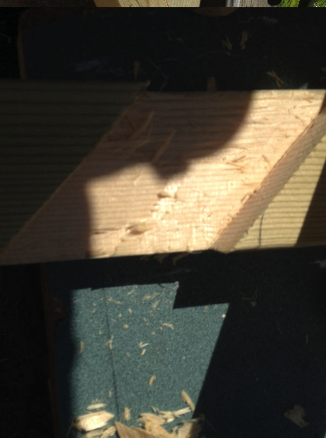 Notched out Timber for Tumbler Stand