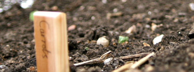 Start seeds outside in March