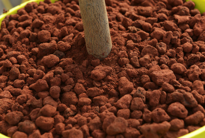 Using Coffee Grounds as Mulch