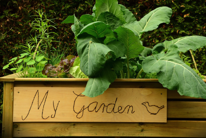 mygarden-raised-bed