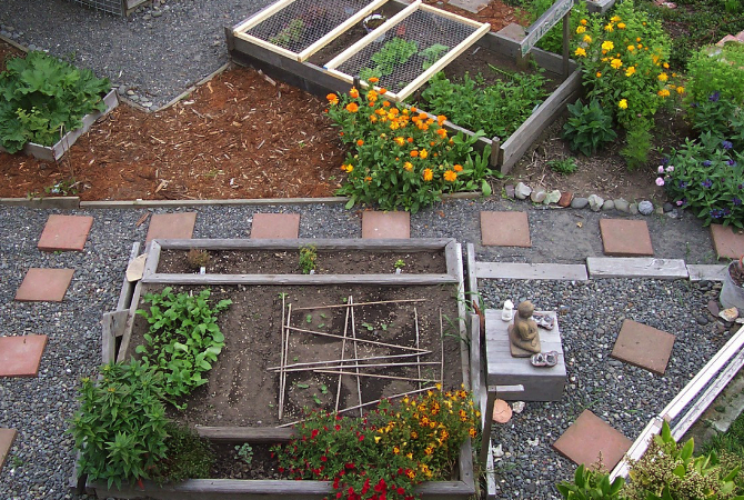 raised-beds