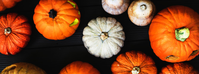 What to do with leftover pumpkins