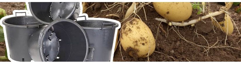 Planting Tubs