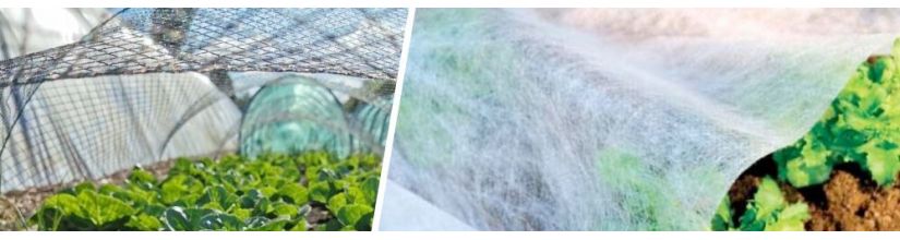 Netting & Coverings to Protect Young Plant Crops