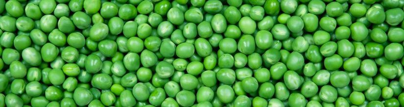 First Early Pea Seeds | Fast-Growing & Sweet UK Varieties
