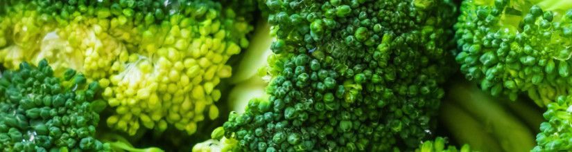 Organic Broccoli Seed