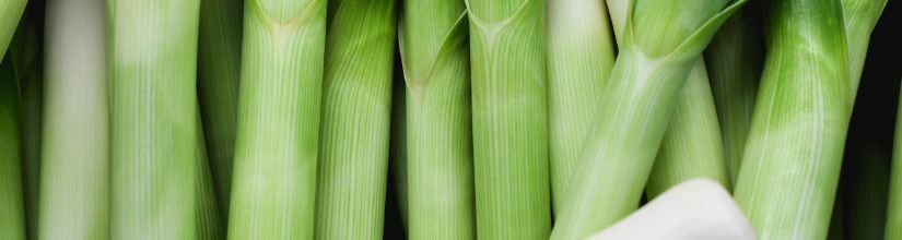 Organic Leek Seed