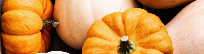 Organic Squash Seed