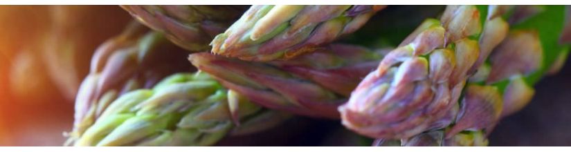 Asparagus Seeds