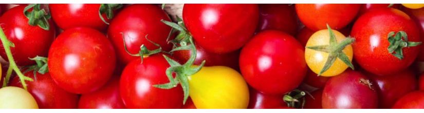 Cherry tomatoes seeds