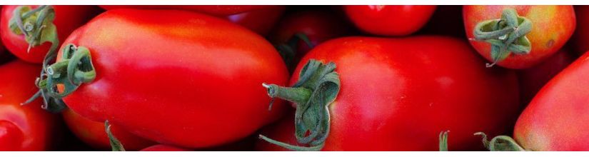 Italian Tomato Seeds. Grow your own tomato sauce. Roma & San Marzano