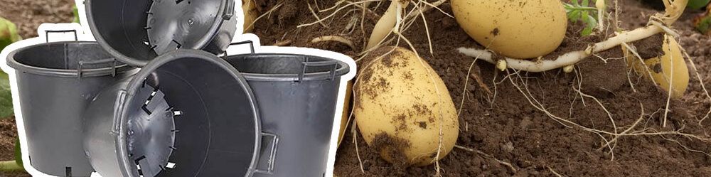 Planting Tubs