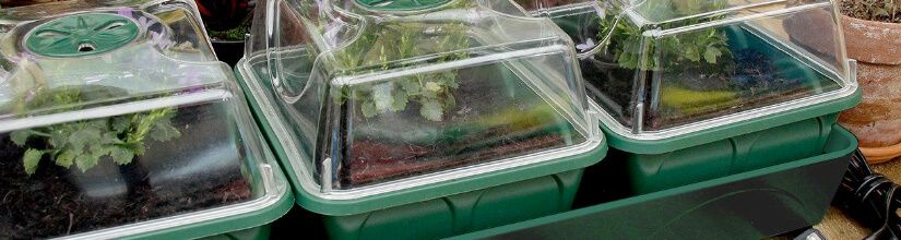 Heated Propagators