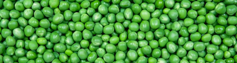 First Early Peas
