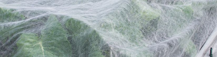 Garden Fleece