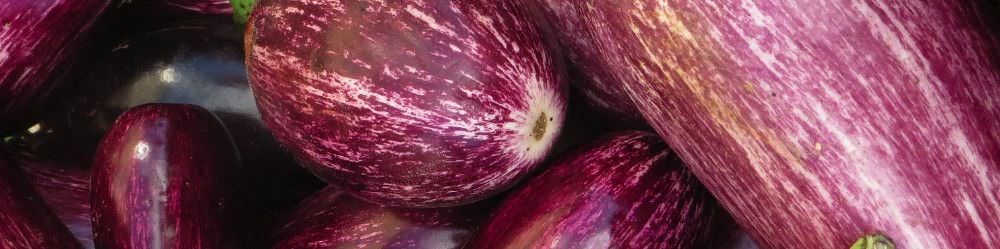 Aubergine Seeds