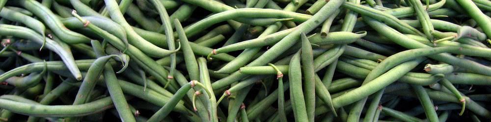 French Bean Seeds