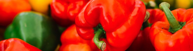 Organic Chilli and Sweet Pepper Seed