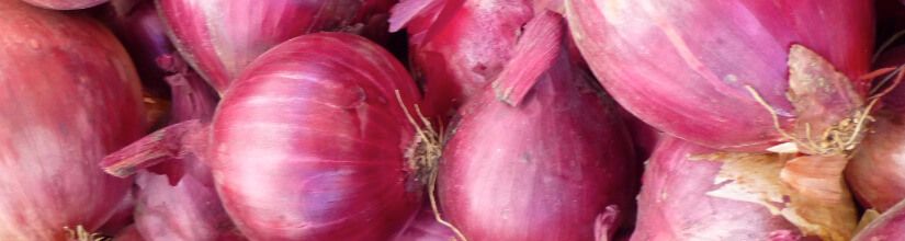 Red Onions