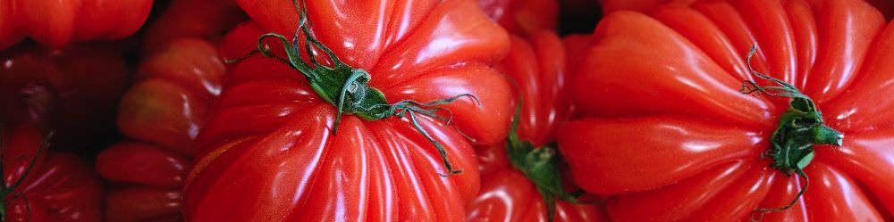 Beefsteak  Tomatoes