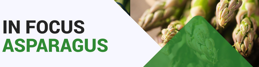 Asparagus - Key Growing Information